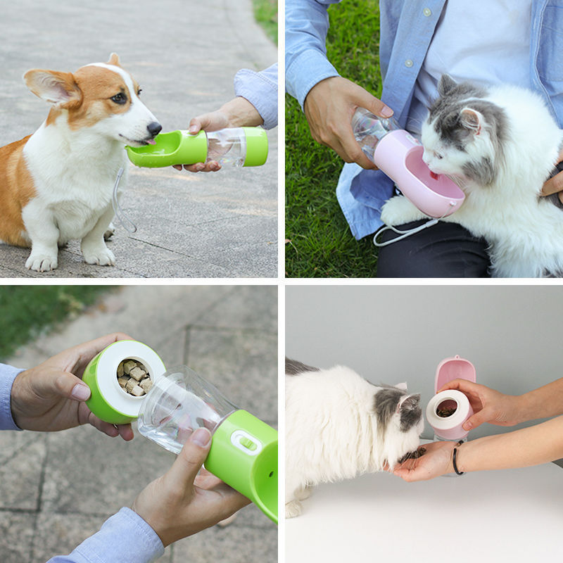 On-the-Go with Pets
