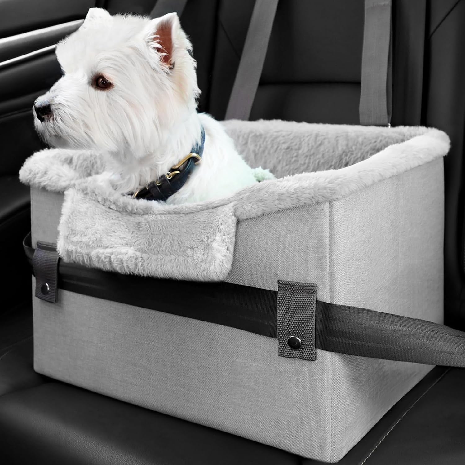 Travel Buddy Seat – Cozy Car Rides for Your Pup