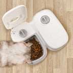 Auto Pet Feeder – Fresh Food on Time, Every Time