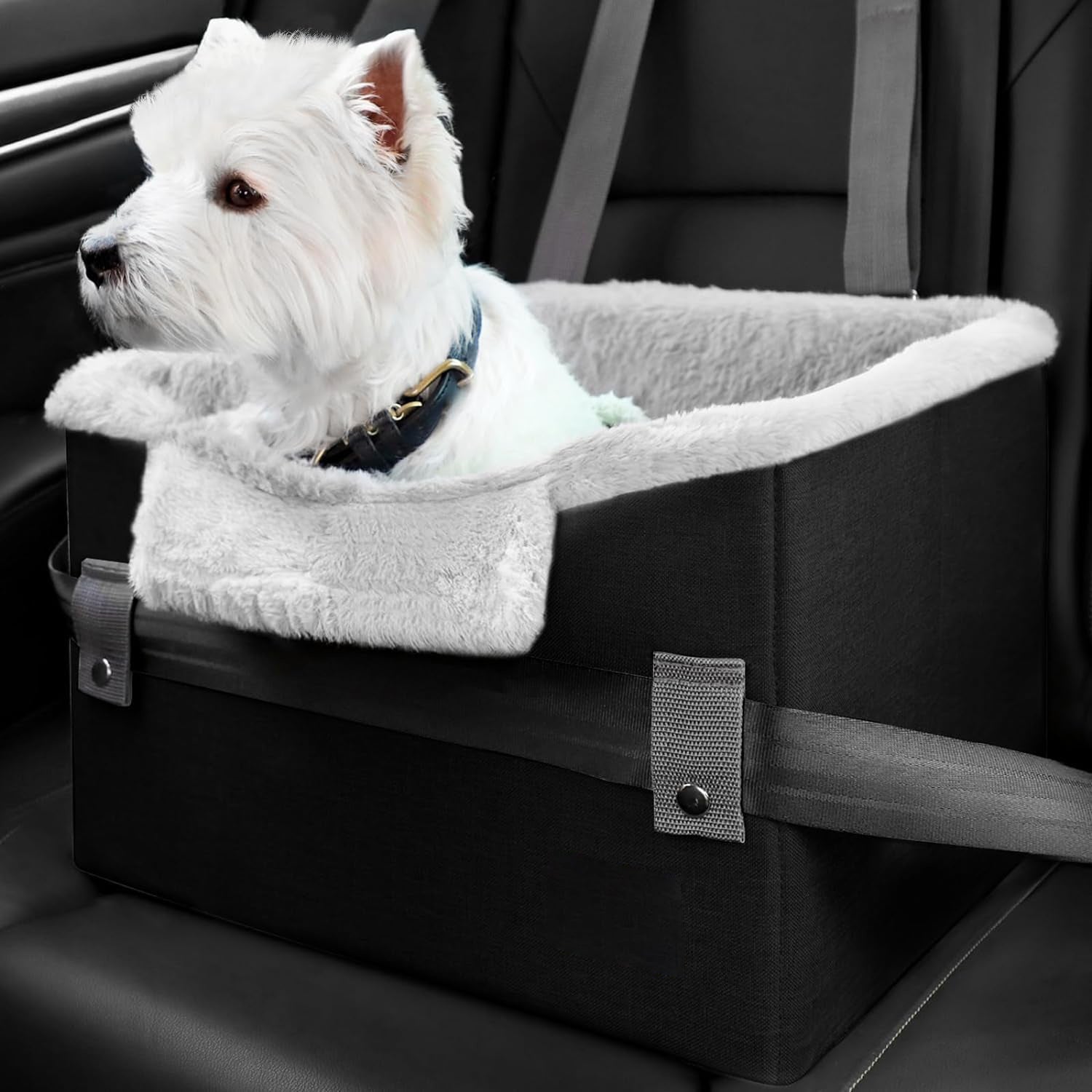 Travel Buddy Seat – Cozy Car Rides for Your Pup