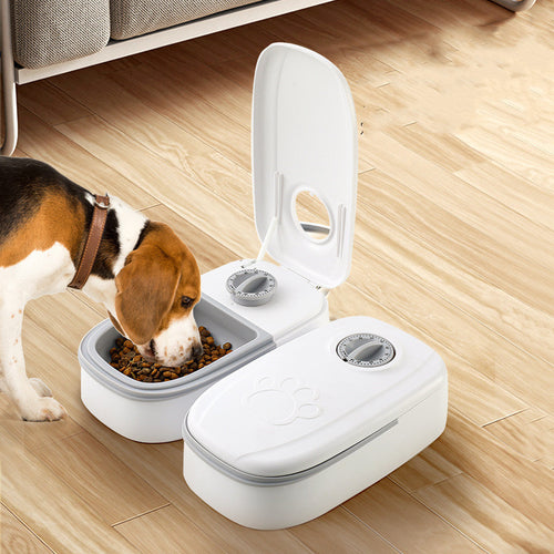 Auto Pet Feeder – Fresh Food on Time, Every Time